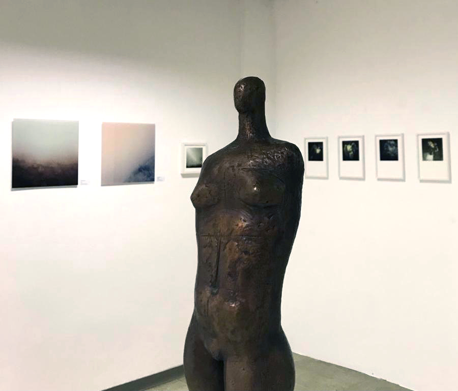 Ausstellungsansicht IN NATURA